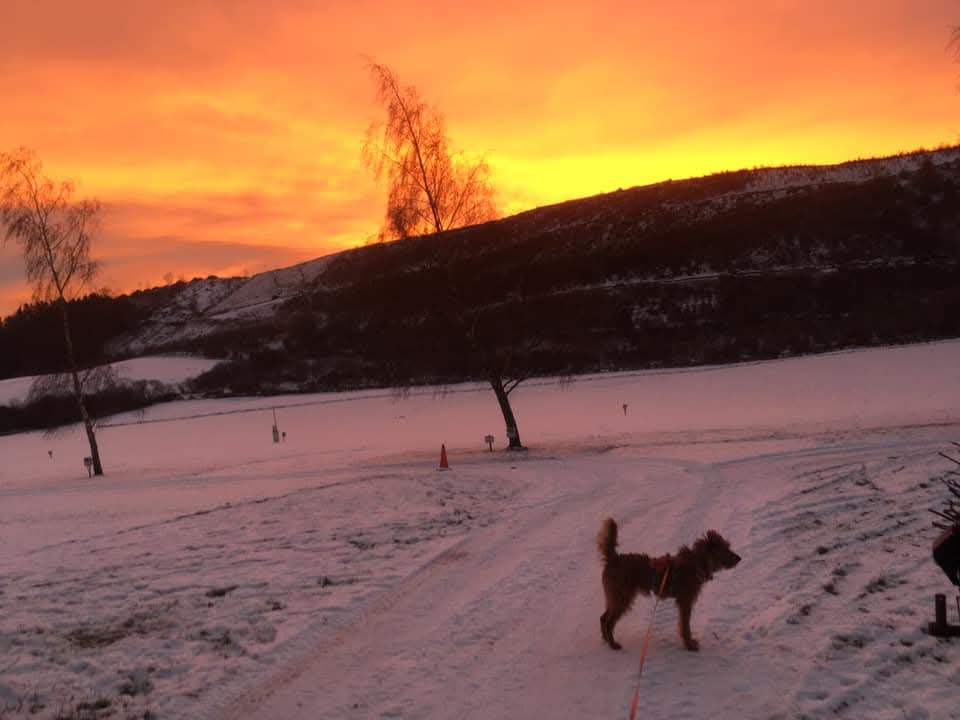 All the Joys of Winter