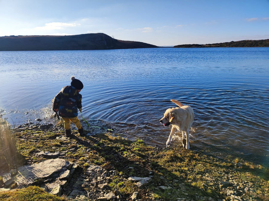 A Small Guide to Winter Camping at Fforest Fields