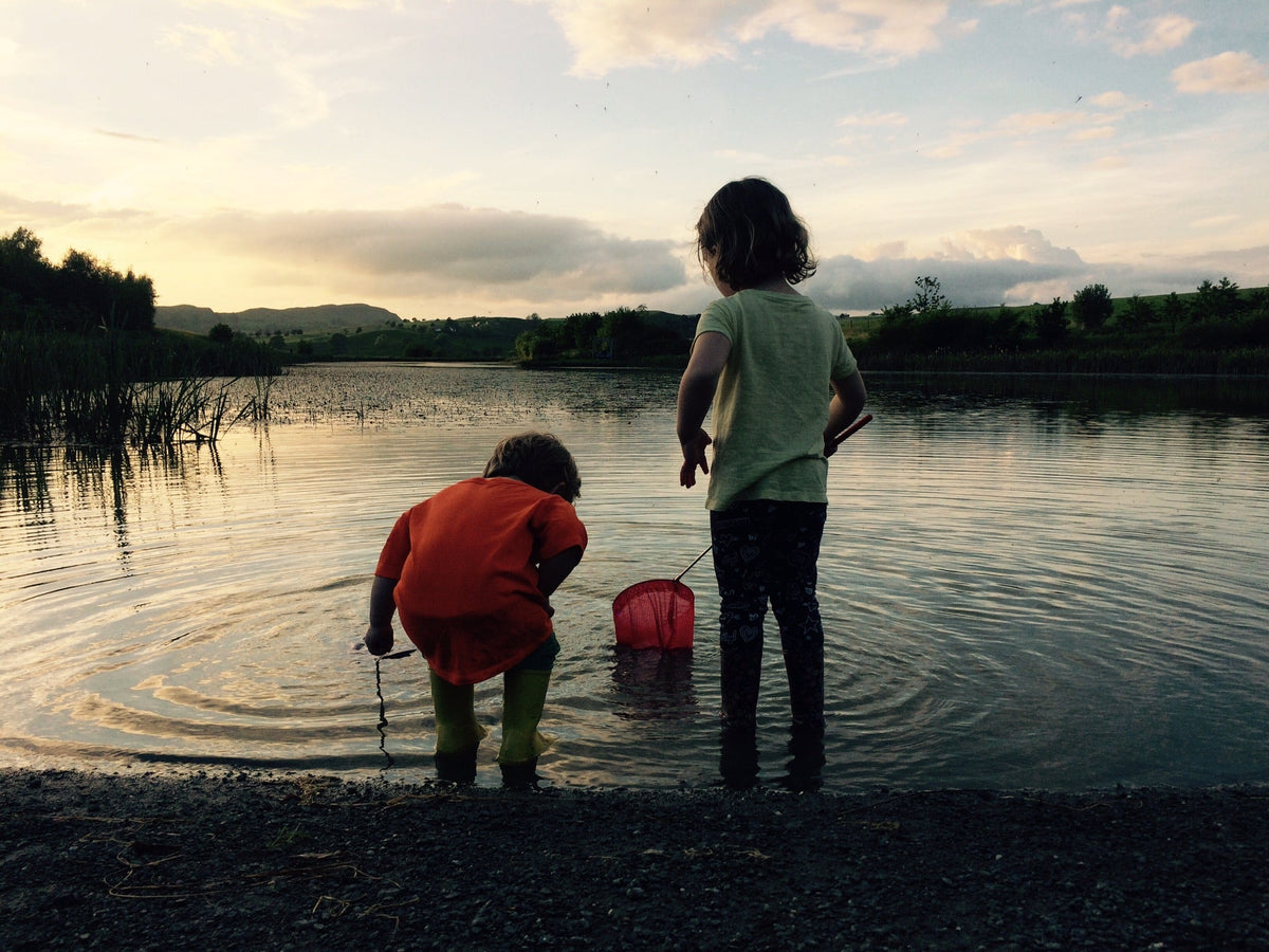 Updated:  The Lake at Fforest Fields