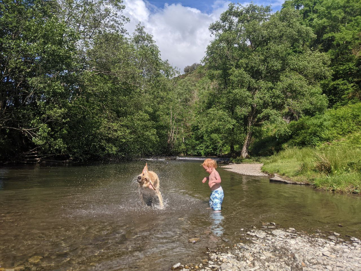 Wild Dips & Paddle Spots Near Fforest Fields